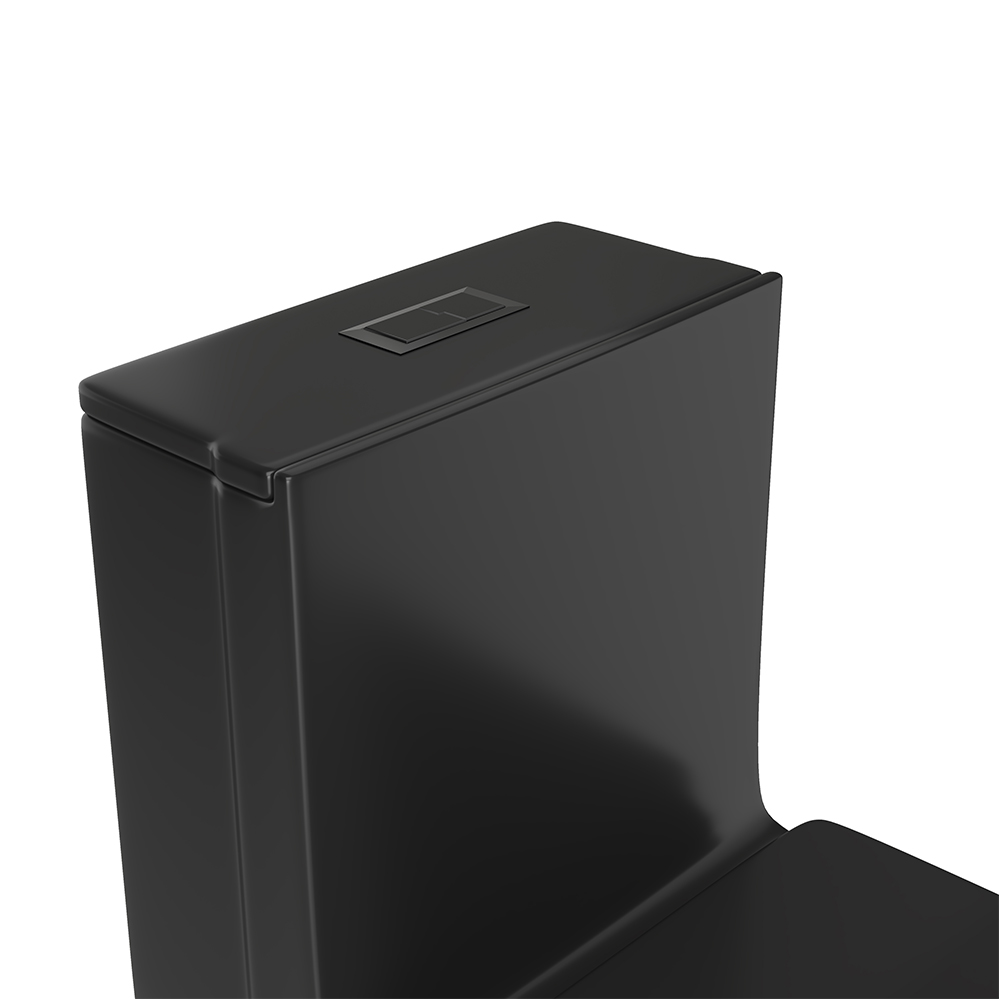 T015-BKD Black Dual-Flush Elongated One-Piece Toilet (Seat Included)