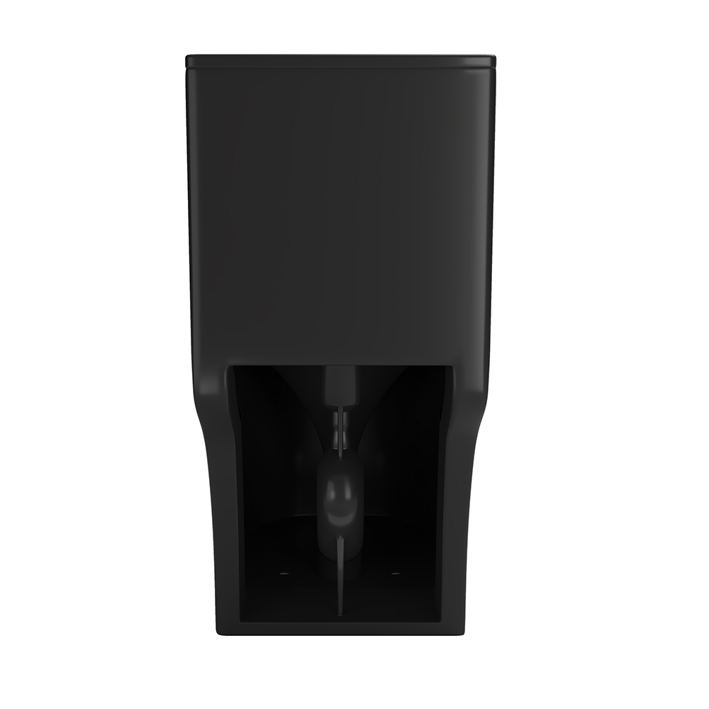 T015-BKD Black Dual-Flush Elongated One-Piece Toilet (Seat Included)