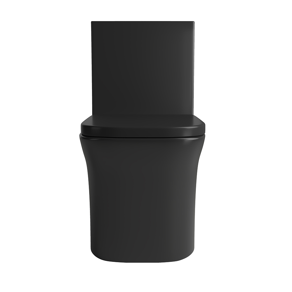 T015-BKD Black Dual-Flush Elongated One-Piece Toilet (Seat Included)