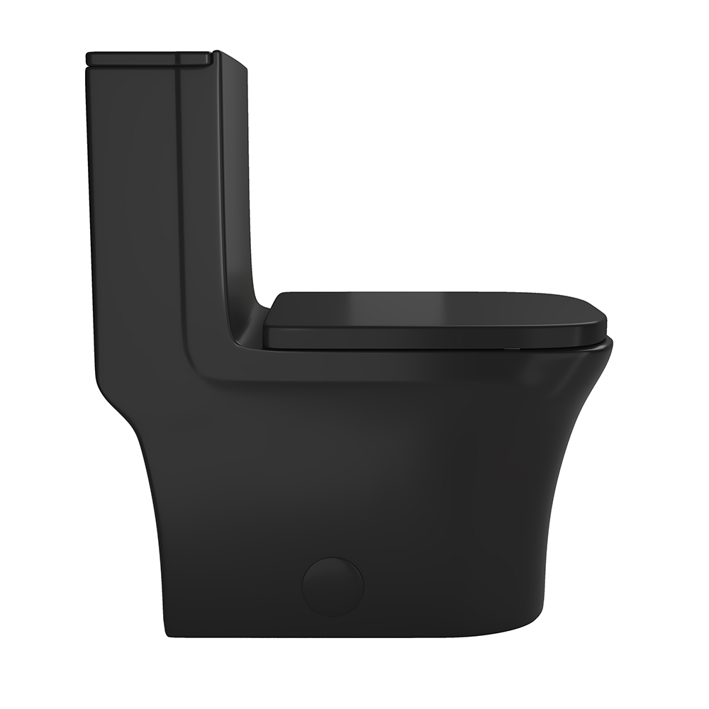 T015-BKD Black Dual-Flush Elongated One-Piece Toilet (Seat Included)