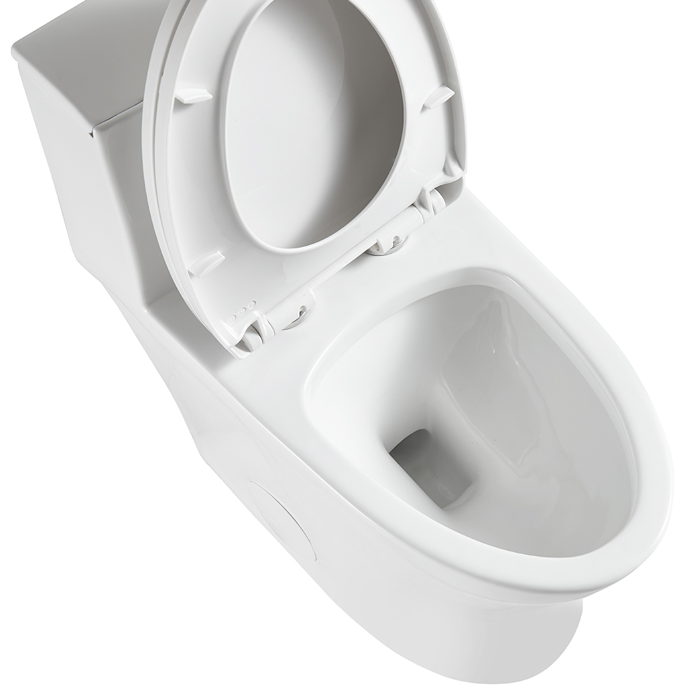 BOTHWA T043-WJ  12 Inch Rough In Modern Floor Mounted  One Piece Toilet