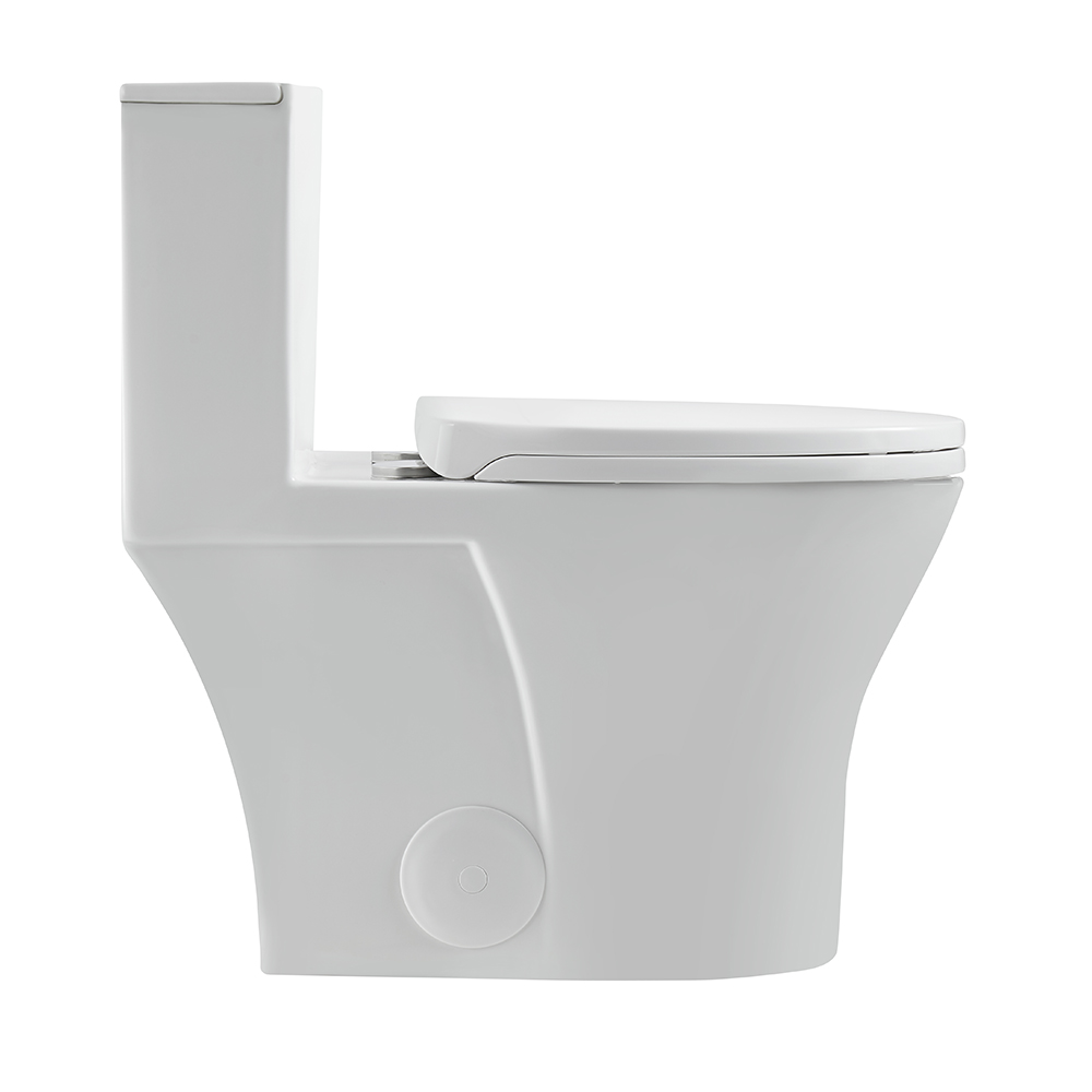 BOTHWA T043-WJ  12 Inch Rough In Modern Floor Mounted  One Piece Toilet