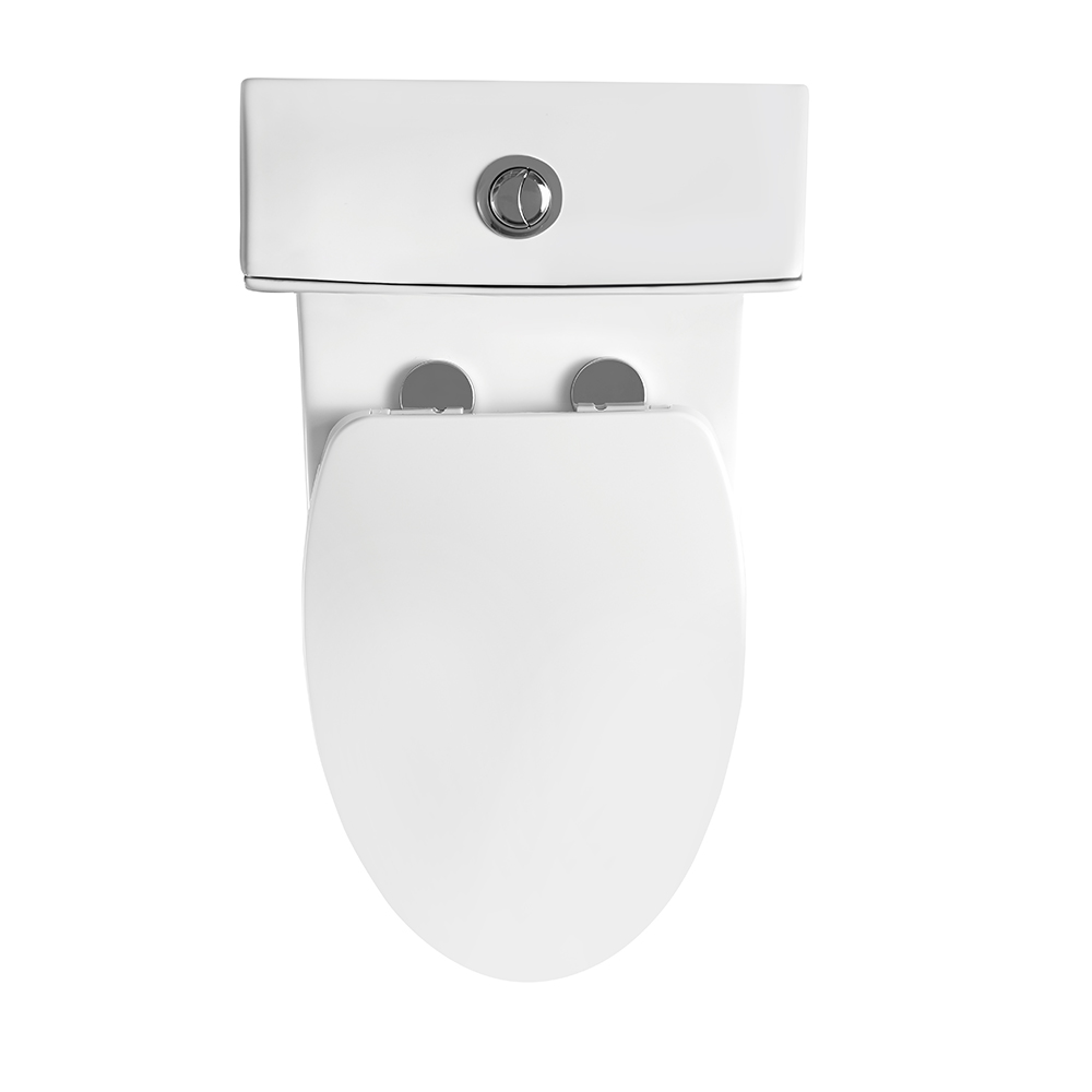 BOTHWA T043-WJ  12 Inch Rough In Modern Floor Mounted  One Piece Toilet