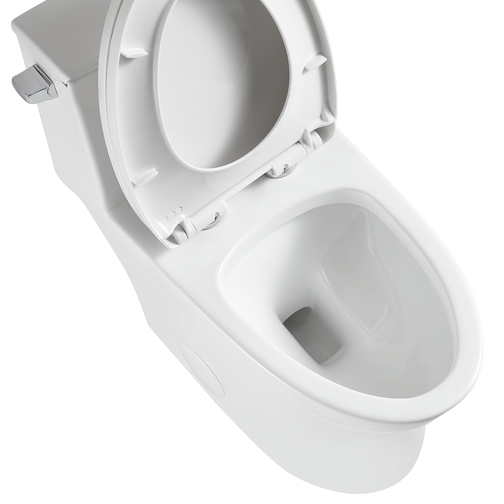 BOTHWA 12 Inch Modern Floor Mounted Toilet Toilet Design Model T044-WJ