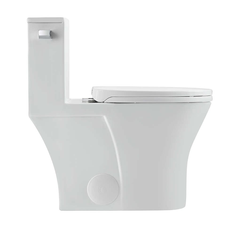 BOTHWA 12 Inch Modern Floor Mounted Toilet Toilet Design Model T044-WJ