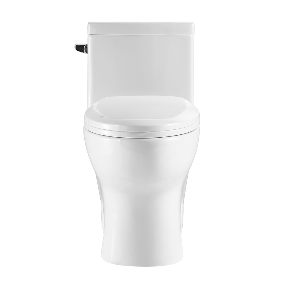 BOTHWA 12 Inch Modern Floor Mounted Toilet Toilet Design Model T076-WJ