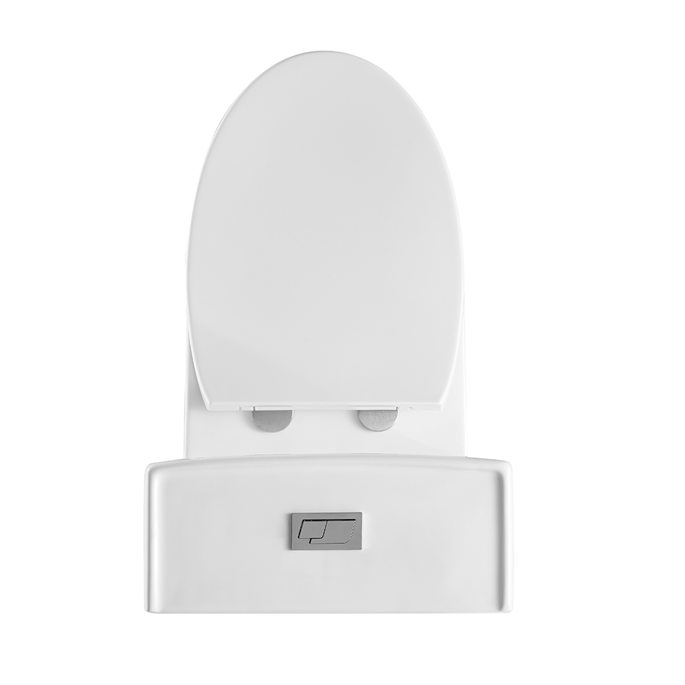 BOTHWA  T102-WJ Classic Floor Mounted One Piece Toilet