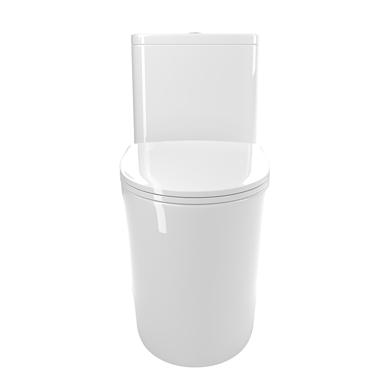 BOTHWA T036-WT  Dual Flush Elongated One Piece Toilet with Fully Glazed and Skirted Trapway Modern  Design Toilet