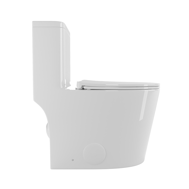 BOTHWA T036-WT  Dual Flush Elongated One Piece Toilet with Fully Glazed and Skirted Trapway Modern  Design Toilet