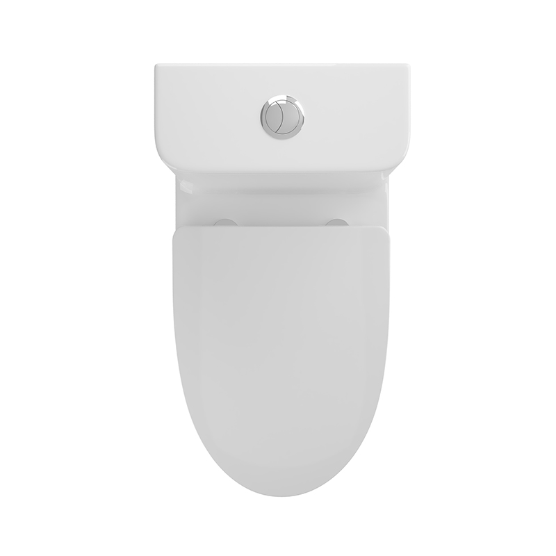 BOTHWA T036-WT  Dual Flush Elongated One Piece Toilet with Fully Glazed and Skirted Trapway Modern  Design Toilet