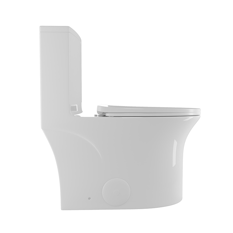 BOTHWA 12 Inch Modern Floor Mounted Toilet Toilet Design Model T039-WT