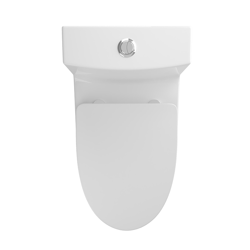 BOTHWA 12 Inch Modern Floor Mounted Toilet Toilet Design Model T039-WT