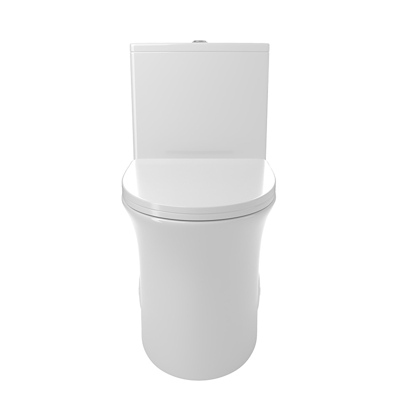 BOTHWA 12 Inch Modern Floor Mounted Toilet Toilet Design Model T039-WT