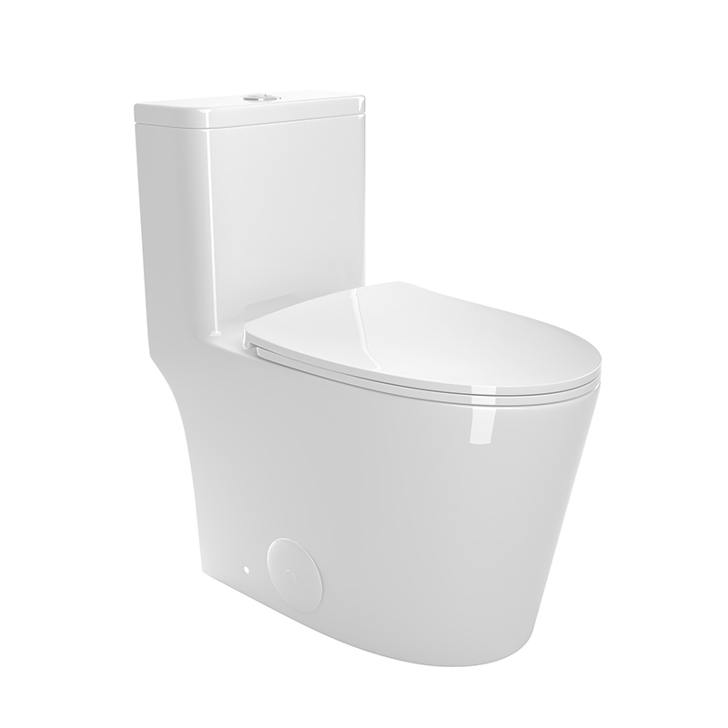 BOTHWA T036-WT  Dual Flush Elongated One Piece Toilet with Fully Glazed and Skirted Trapway Modern  Design Toilet