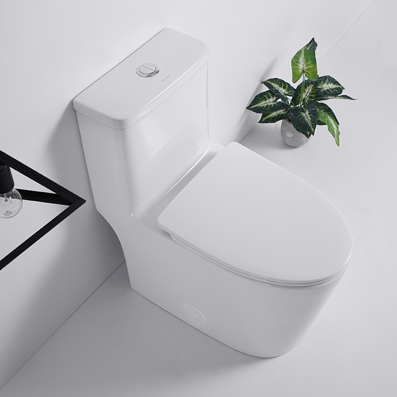 BOTHWA T036-WT  Dual Flush Elongated One Piece Toilet with Fully Glazed and Skirted Trapway Modern  Design Toilet