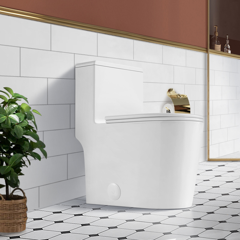 BOTHWA T036-WT  Dual Flush Elongated One Piece Toilet with Fully Glazed and Skirted Trapway Modern  Design Toilet