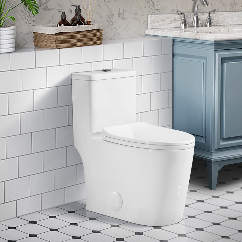 BOTHWA T036-WT  Dual Flush Elongated One Piece Toilet with Fully Glazed and Skirted Trapway Modern  Design Toilet