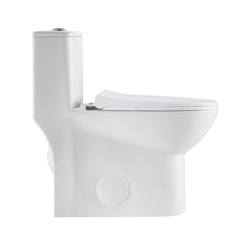 Dual Flush Elongated One Piece Floor Mounted Toilet Model T047-WJ