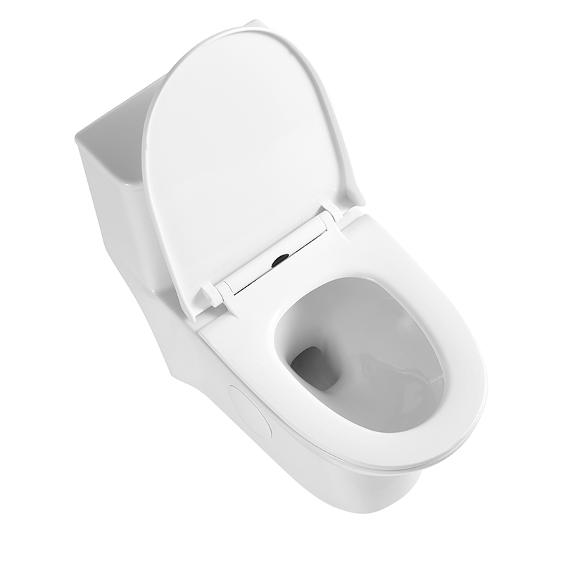 Dual Flush Elongated One Piece Floor Mounted Toilet Model T047-WJ