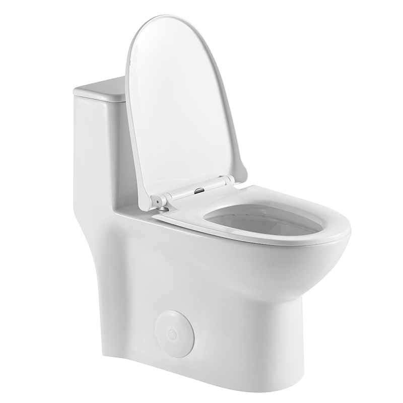 Dual Flush Elongated One Piece Floor Mounted Toilet Model T047-WJ