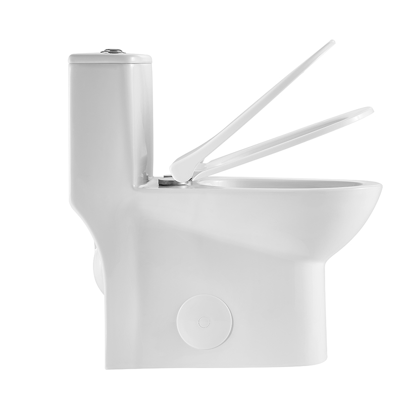 Dual Flush Elongated One Piece Floor Mounted Toilet Model T047-WJ