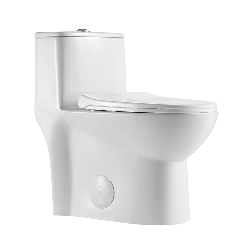 Dual Flush Elongated One Piece Floor Mounted Toilet Model T047-WJ