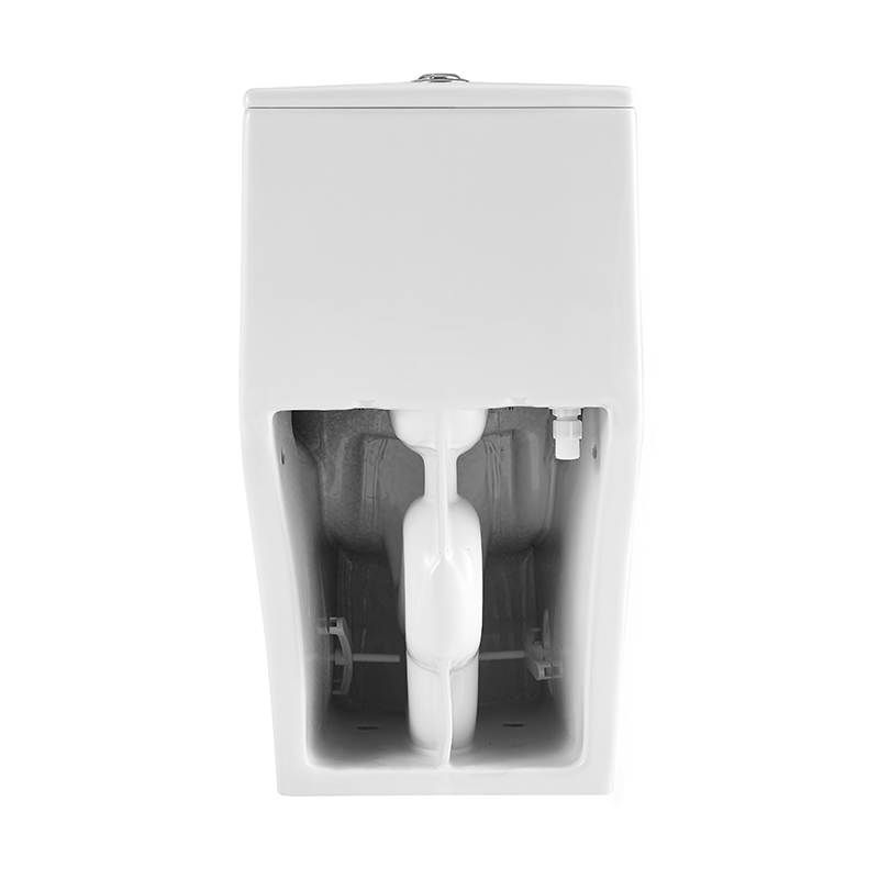 Dual Flush Elongated One Piece Floor Mounted Toilet Model T047-WJ