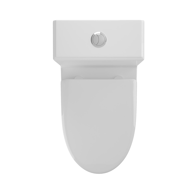 BOTHWA Dual Flush Elongated One Piece Toilet with Glazed Surface Modern  Toilet  Model T029-WT