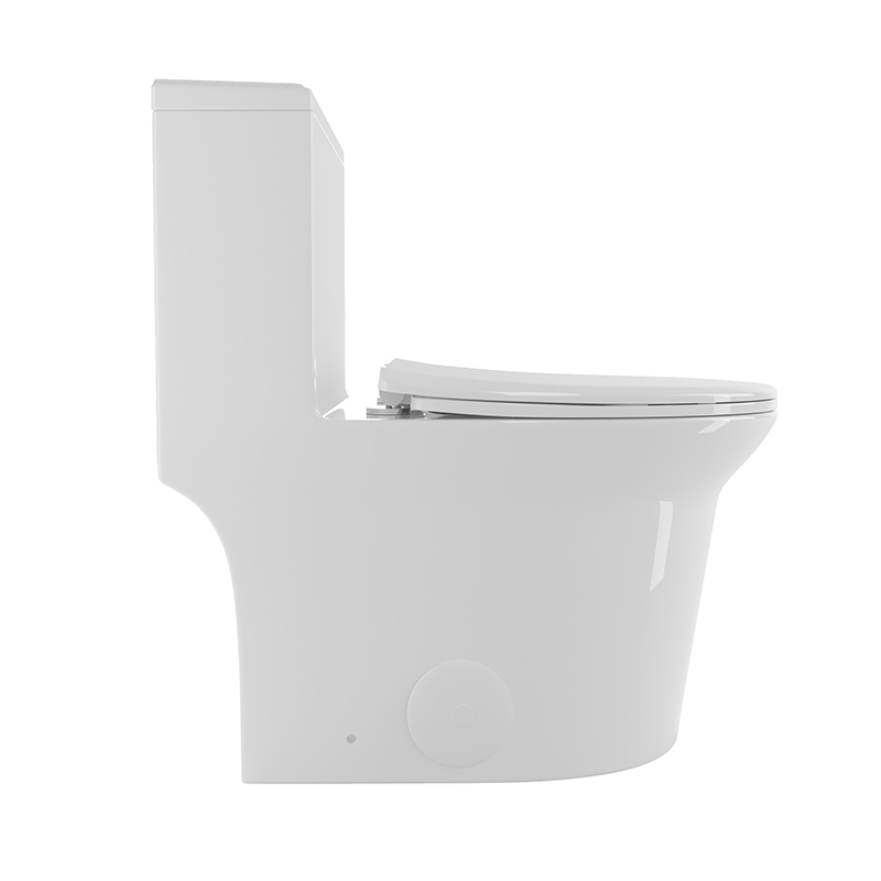 BOTHWA Dual Flush Elongated One Piece Toilet with Glazed Surface Modern  Toilet  Model T029-WT