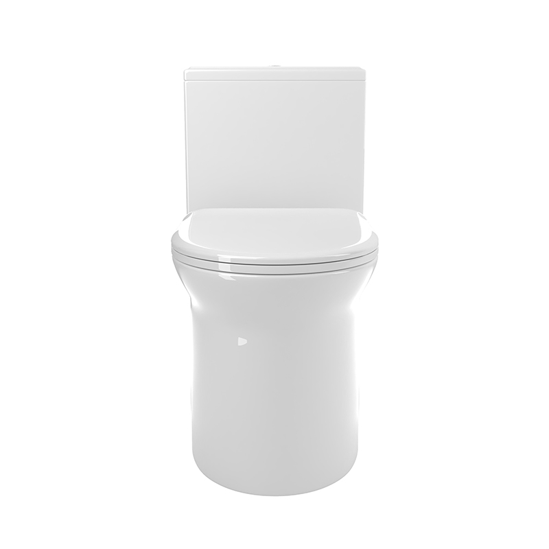 BOTHWA Dual Flush Elongated One Piece Toilet with Glazed Surface Modern  Toilet  Model T029-WT