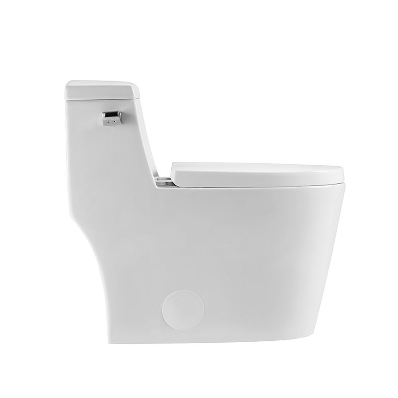 BOTHWA  T081-WJ 12 Inch Modern Floor Mounted Toilet Toilet Design Model