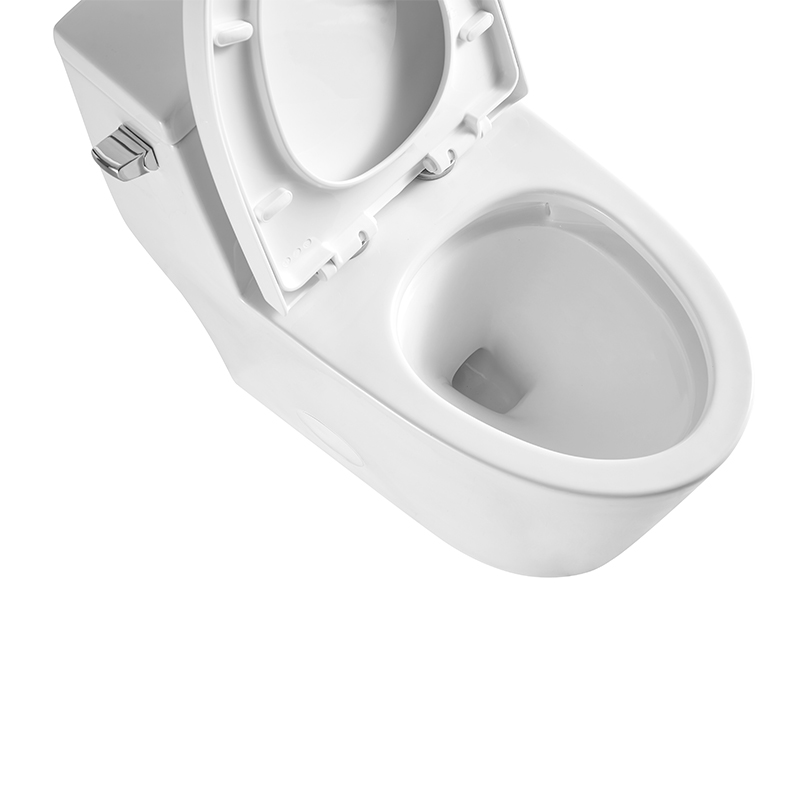 BOTHWA  T081-WJ 12 Inch Modern Floor Mounted Toilet Toilet Design Model