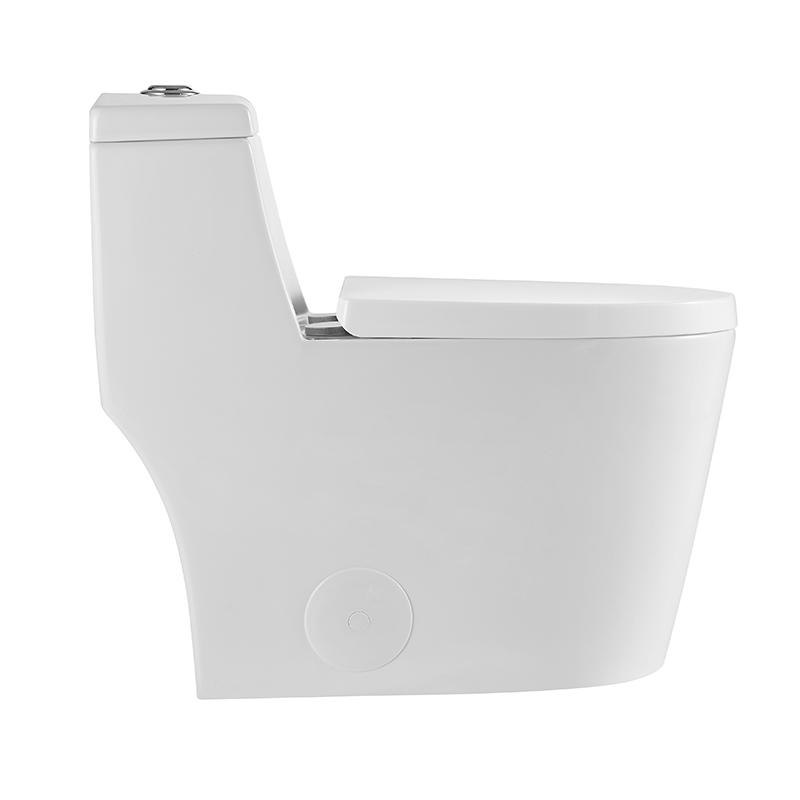 BOTHWA  T080-WJ 12 Inch Modern Floor Mounted Toilet Toilet Design Model