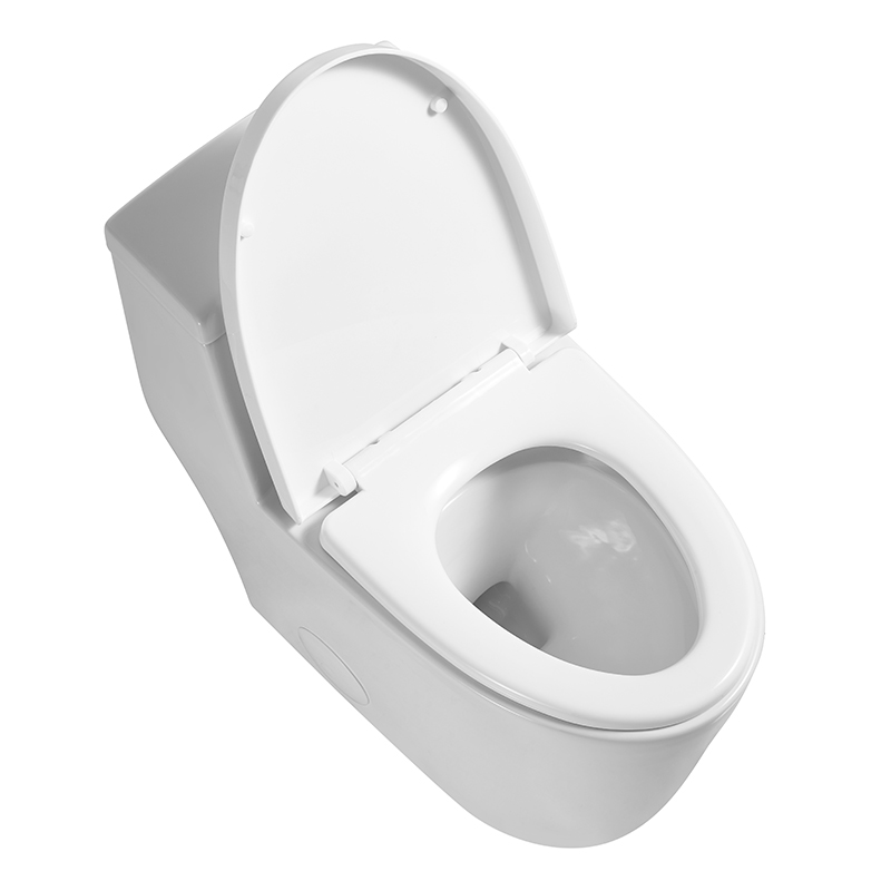 BOTHWA  T080-WJ 12 Inch Modern Floor Mounted Toilet Toilet Design Model