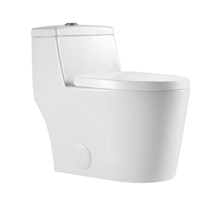 BOTHWA  T080-WJ 12 Inch Modern Floor Mounted Toilet Toilet Design Model