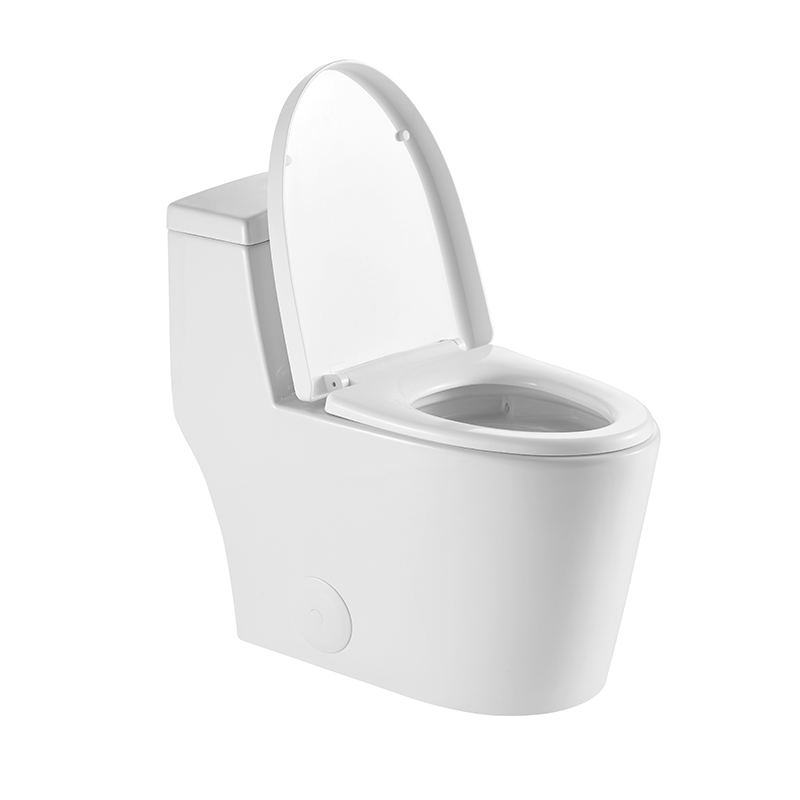 BOTHWA  T080-WJ 12 Inch Modern Floor Mounted Toilet Toilet Design Model