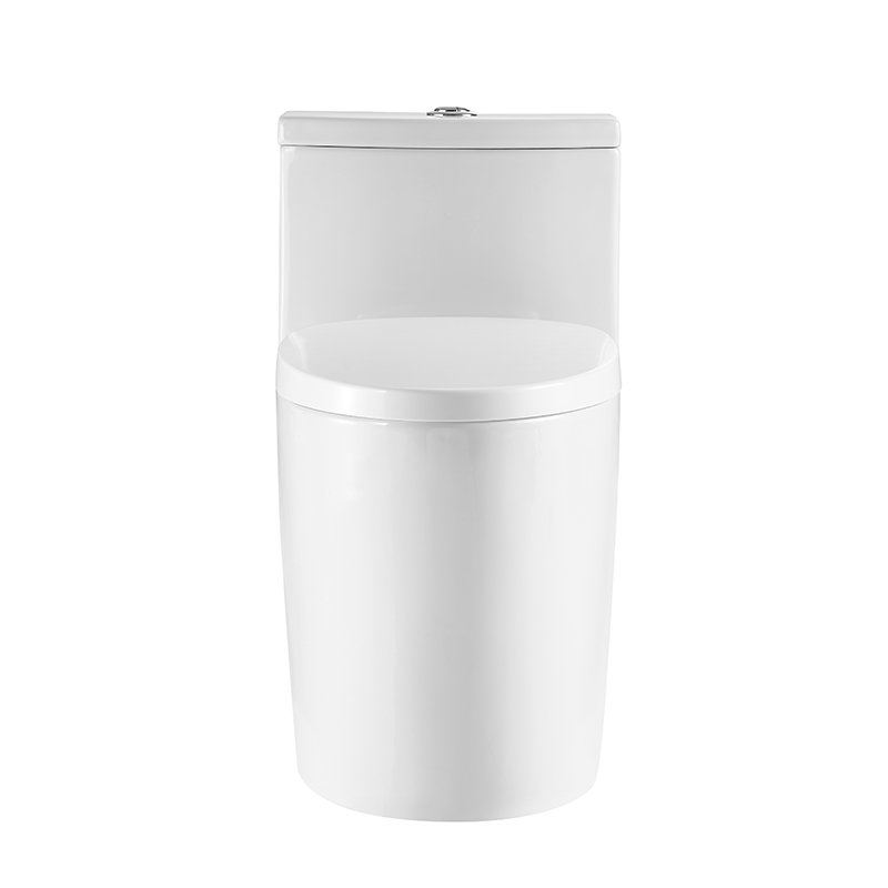 BOTHWA T139-WJ Dual Flush Toilet Elongate Comfor Height Floor Mounted One Piece Toilet