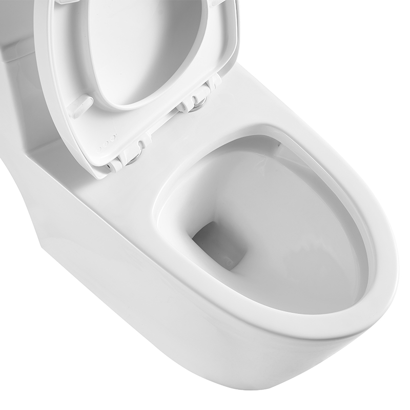 BOTHWA T139-WJ Dual Flush Toilet Elongate Comfor Height Floor Mounted One Piece Toilet