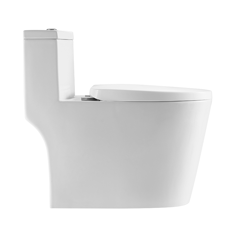 BOTHWA T139-WJ Dual Flush Toilet Elongate Comfor Height Floor Mounted One Piece Toilet