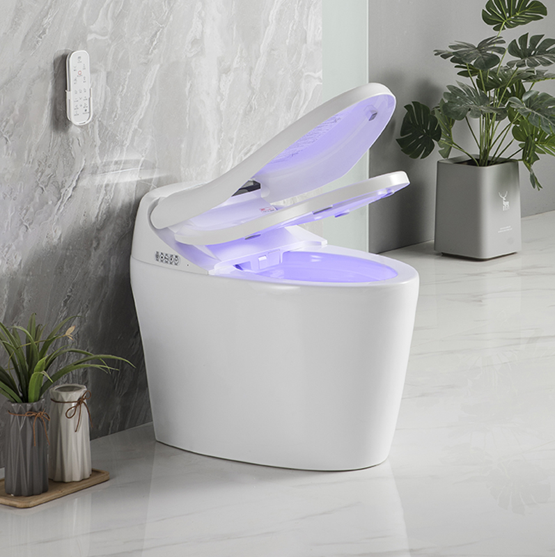 TE208-WH Smart Bidet Toilet,Dual-Flush Elongated Tankless Toilet Bidet, with Warm Water, Foot Sensor Operation,One Piece Toilet for Bathrooms