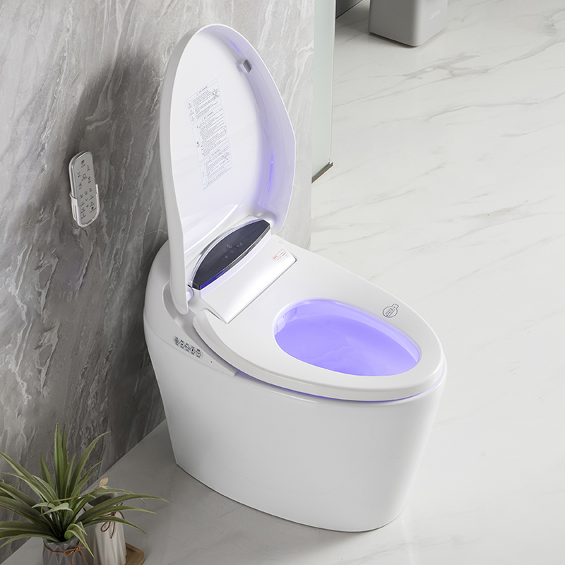 TE208-WH Smart Bidet Toilet,Dual-Flush Elongated Tankless Toilet Bidet, with Warm Water, Foot Sensor Operation,One Piece Toilet for Bathrooms