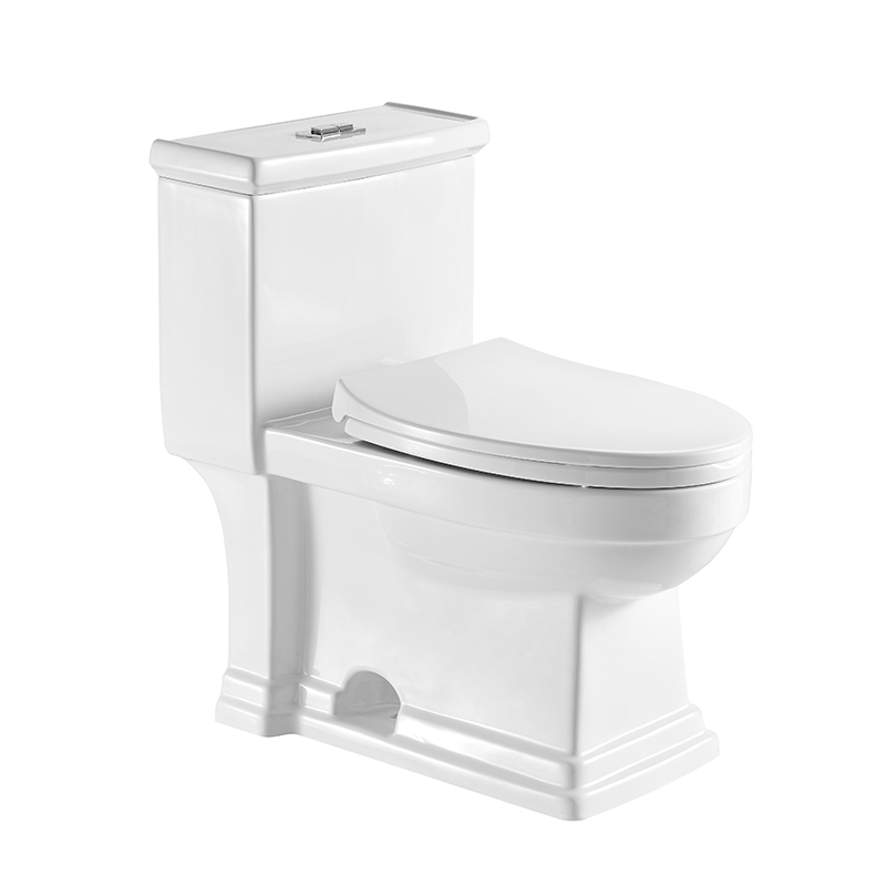 BOTHWA  T102-WJ Classic Floor Mounted One Piece Toilet