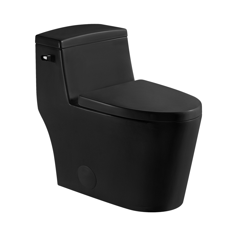 BOTHWA Matt Black 12 Inch Modern Floor Mounted Toilet Toilet Design Model T081-BKJ