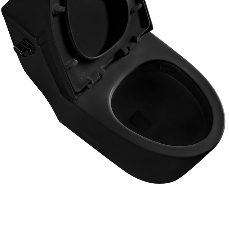 BOTHWA Matt Black 12 Inch Modern Floor Mounted Toilet Toilet Design Model T081-BKJ