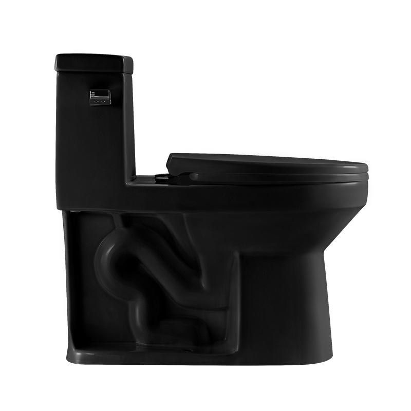 BOTHWA 12 Inch Modern Floor Mounted Toilet Toilet Design Model T033-BKJ