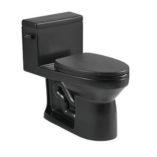 BOTHWA 12 Inch Modern Floor Mounted Toilet Toilet Design Model T033-BKJ